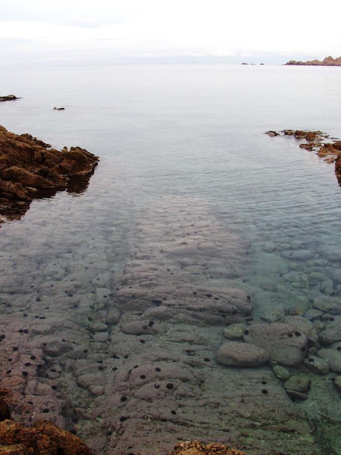 Smeraldo Affitta Isola Rossa (Sassari)